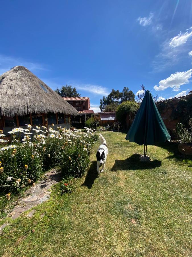 مبيت وإفطار كوسكو Casa De La Gringa Mountain House المظهر الخارجي الصورة